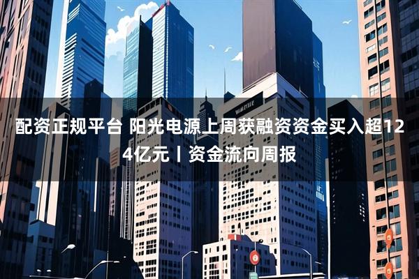 配资正规平台 阳光电源上周获融资资金买入超124亿元丨资金流向周报
