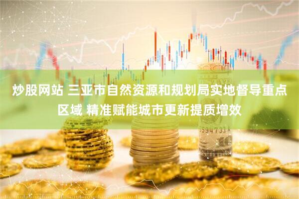 炒股网站 三亚市自然资源和规划局实地督导重点区域 精准赋能城市更新提质增效