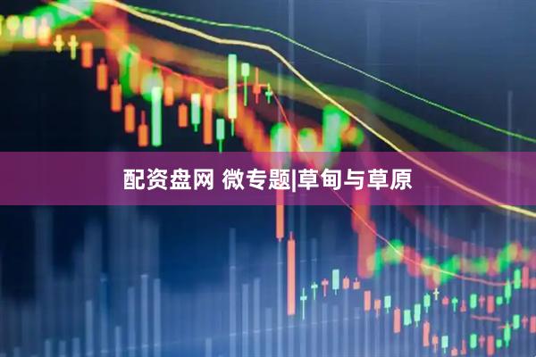 配资盘网 微专题|草甸与草原